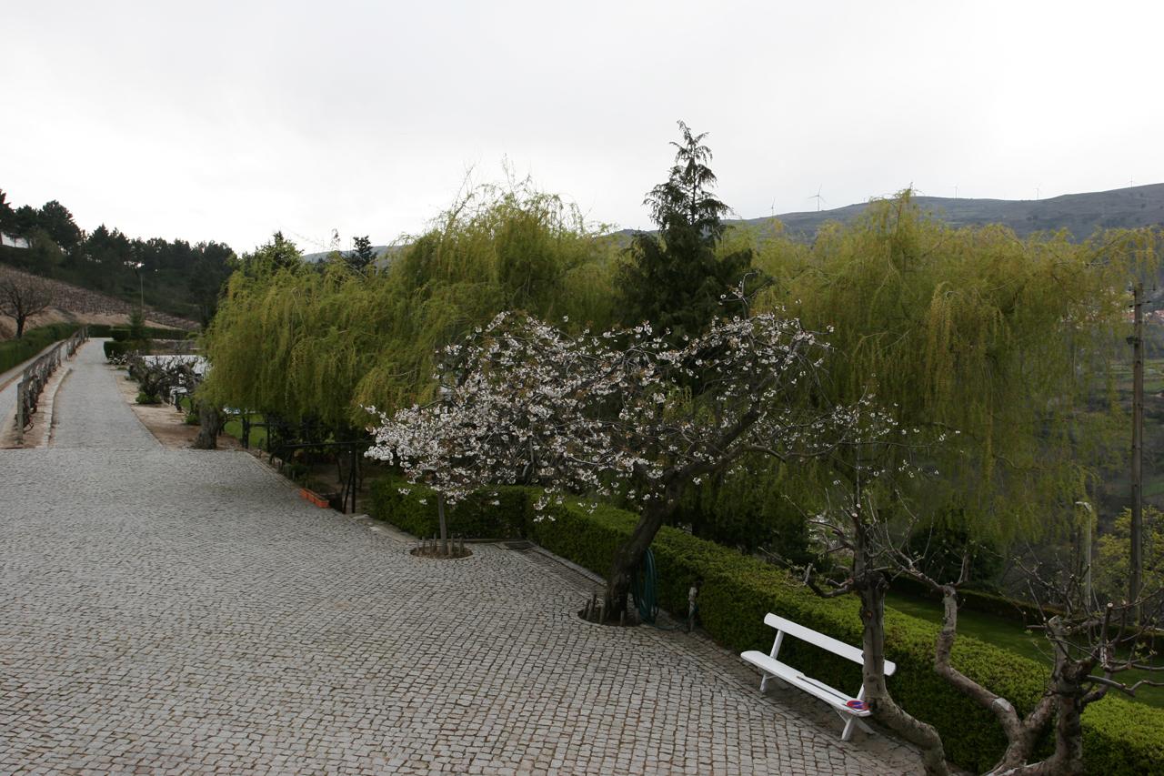 Quinta Da Timpeira Hotel ลาเมโก ภายนอก รูปภาพ